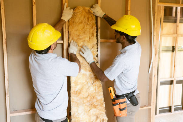 Best Insulation Replacement Services  in East St Louis, IL